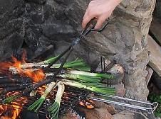 Calçots