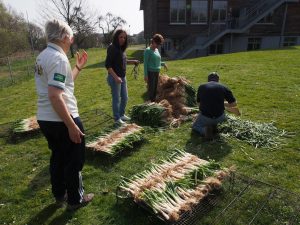 calçotada 2019 (un nouvel espace)